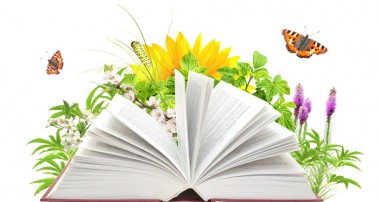 نگاهی به زندگانی حضرت یونس (ع)