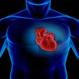 ۷۳۵ – اصلی‌ترین عامل فساد قلب