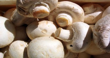 5 دلیل برای مصرف بیشتر قارچ‌ها