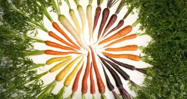 هویج‌های رنگی و فواید آن‌ها