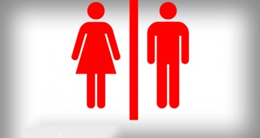 زن یا مرد کدامیک برترند؟