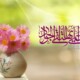 بررسی نقش علمی و کلامی امام جواد (ع) در تبیین و اثبات امامت